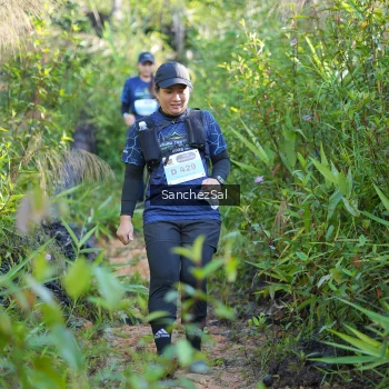 Runner Photo 1434184