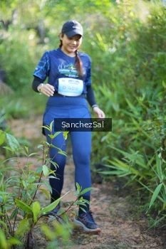 Runner Photo 1434211
