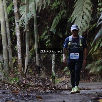 Runner Photo 1434239