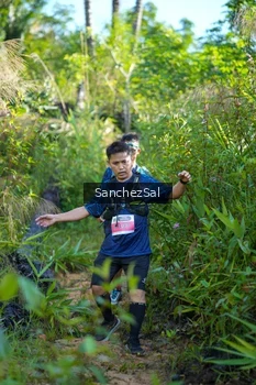 Runner Photo 1434242