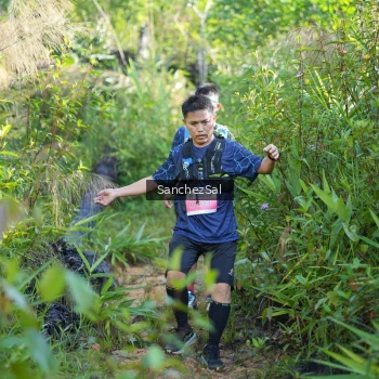 Runner Photo 1434244