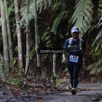 Runner Photo 1434248