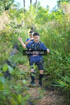 Runner Photo 1434262