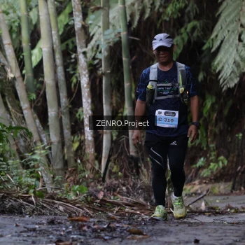 Runner Photo 1434264