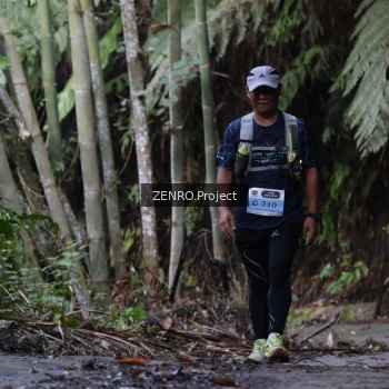Runner Photo 1434268