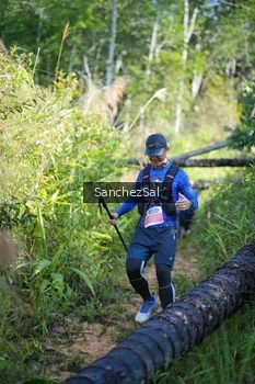 Runner Photo 1434295