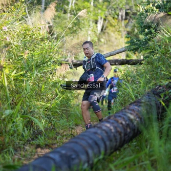 Runner Photo 1434298