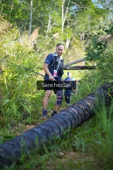 Runner Photo 1434301