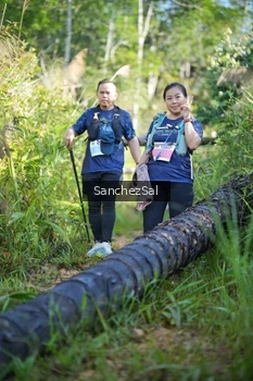 Runner Photo 1434347