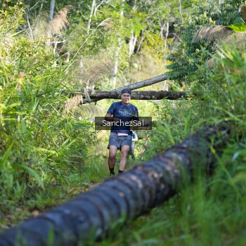 Runner Photo 1434383