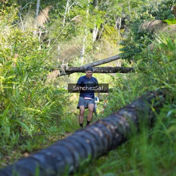 Runner Photo 1434387