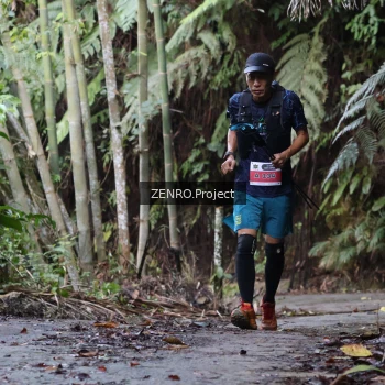 Runner Photo 1434390