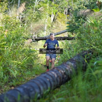Runner Photo 1434391