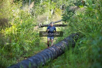 Runner Photo 1434402