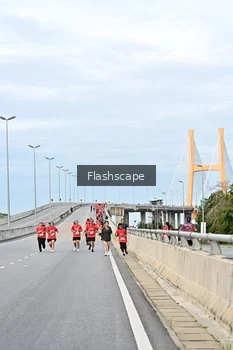 Runner Photo 1434483
