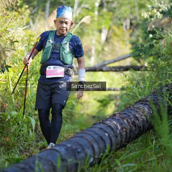 Runner Photo 1434496