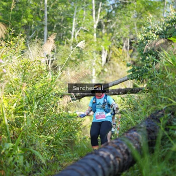 Runner Photo 1434569