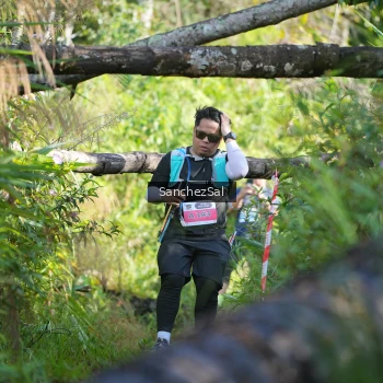 Runner Photo 1434621