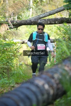 Runner Photo 1434634