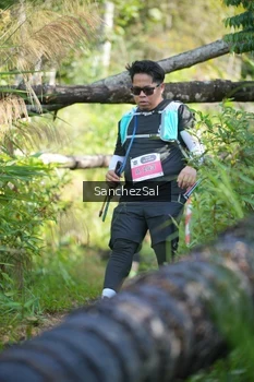 Runner Photo 1434644