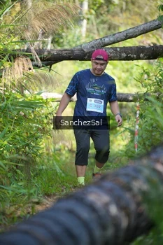 Runner Photo 1434662