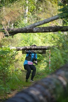 Runner Photo 1434700