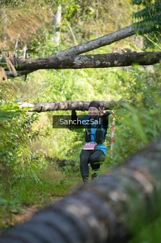Runner Photo 1434702