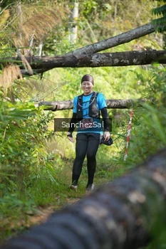 Runner Photo 1434713