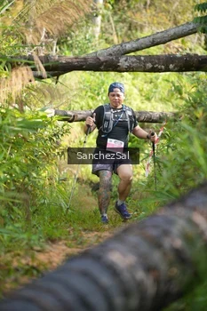 Runner Photo 1434747