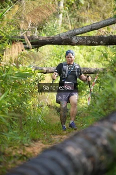 Runner Photo 1434751