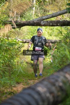 Runner Photo 1434759