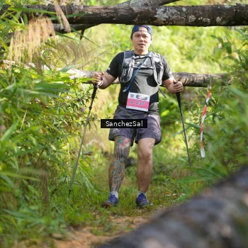 Runner Photo 1434763