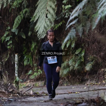 Runner Photo 1434765