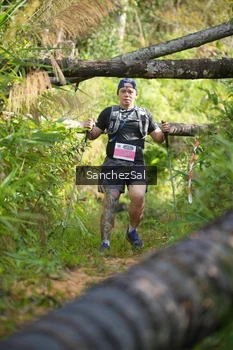 Runner Photo 1434766
