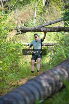 Runner Photo 1434853