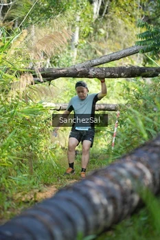 Runner Photo 1434866
