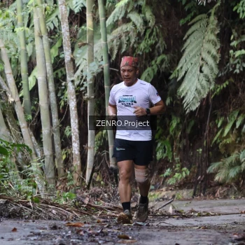 Runner Photo 1435139