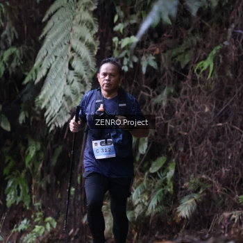 Runner Photo 1435455