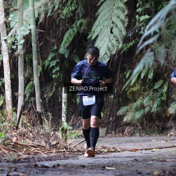 Runner Photo 1435839