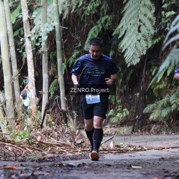 Runner Photo 1435840