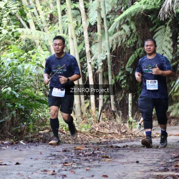 Runner Photo 1435843