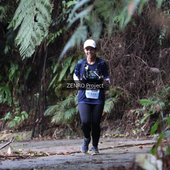 Runner Photo 1435947