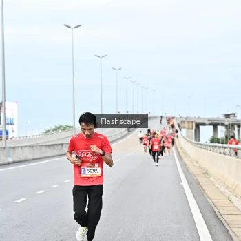 Runner Photo 1436746