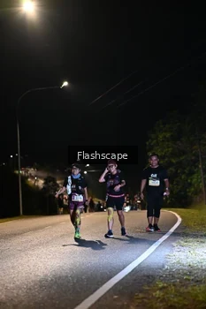 Runner Photo 1441818