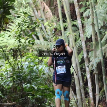 Runner Photo 1443806