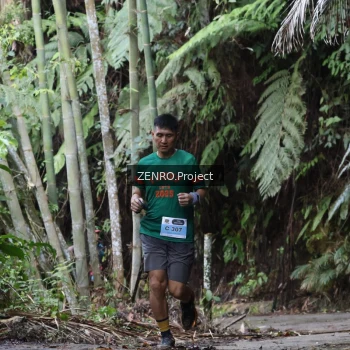 Runner Photo 1443854