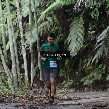 Runner Photo 1443857