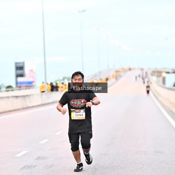 Runner Photo 1450259