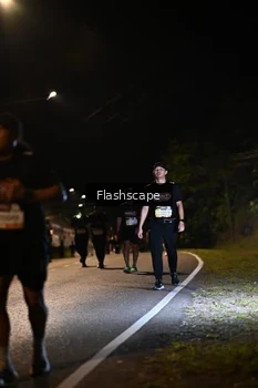 Runner Photo 1454197