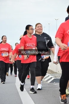 Runner Photo 1455478